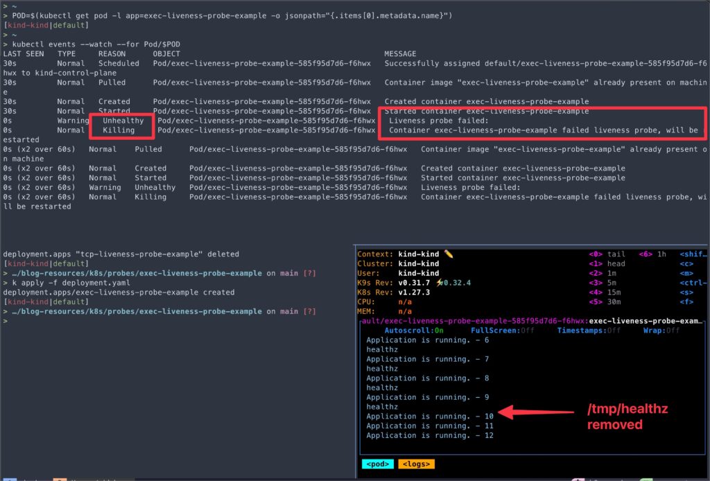 image showing how exec-liveness-probe-example works