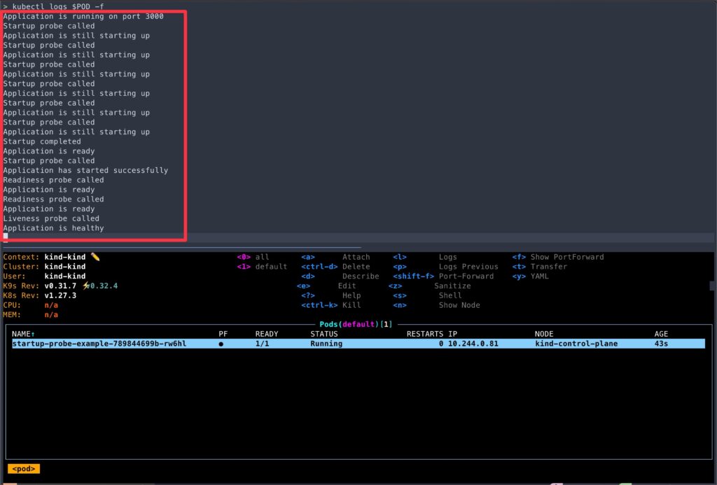 Image showing logs for startup-probe-example